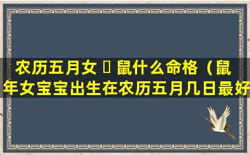 农历五月女 ☘ 鼠什么命格（鼠年女宝宝出生在农历五月几日最好）